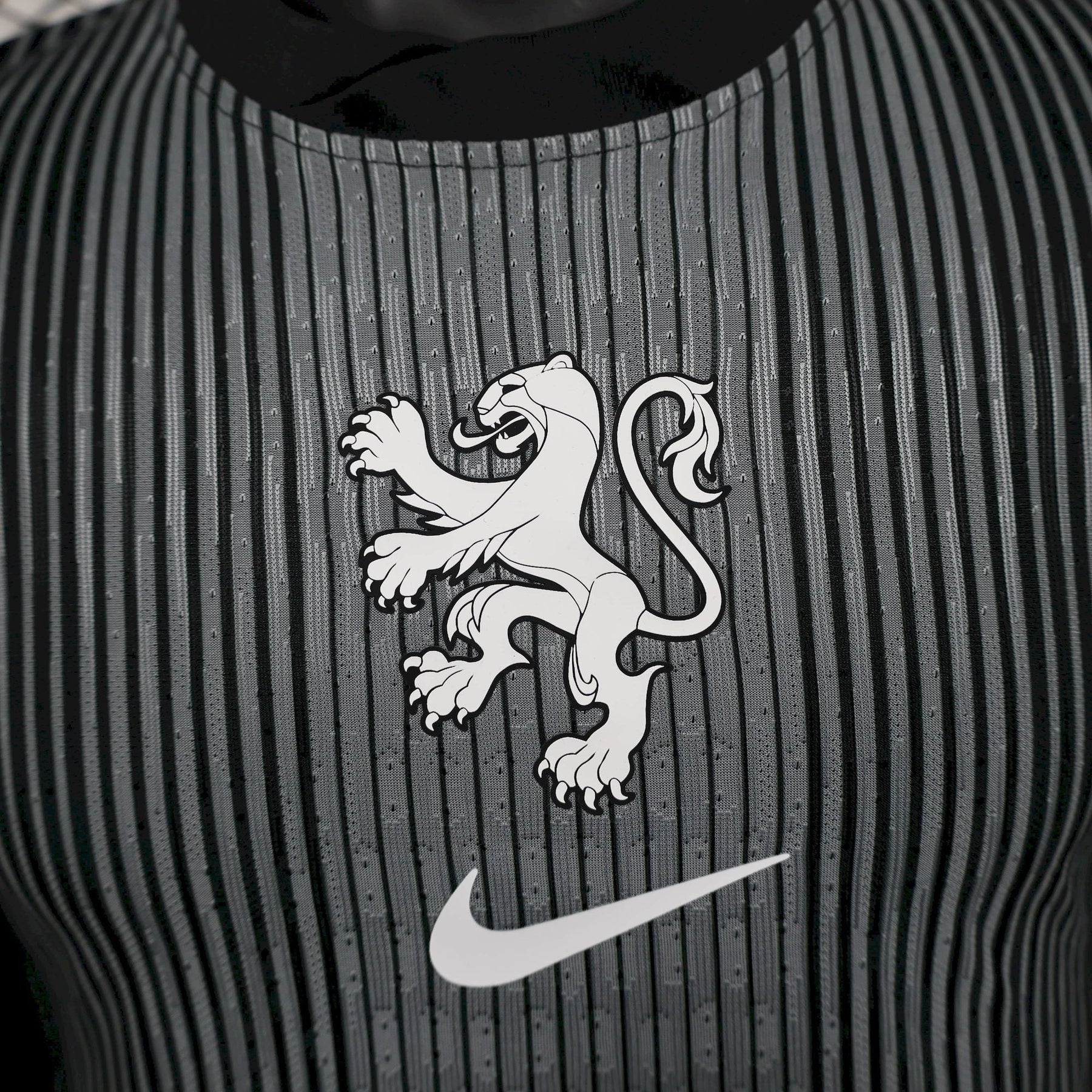 Camisa Holanda Goleiro 25/26 - Versão Jogador