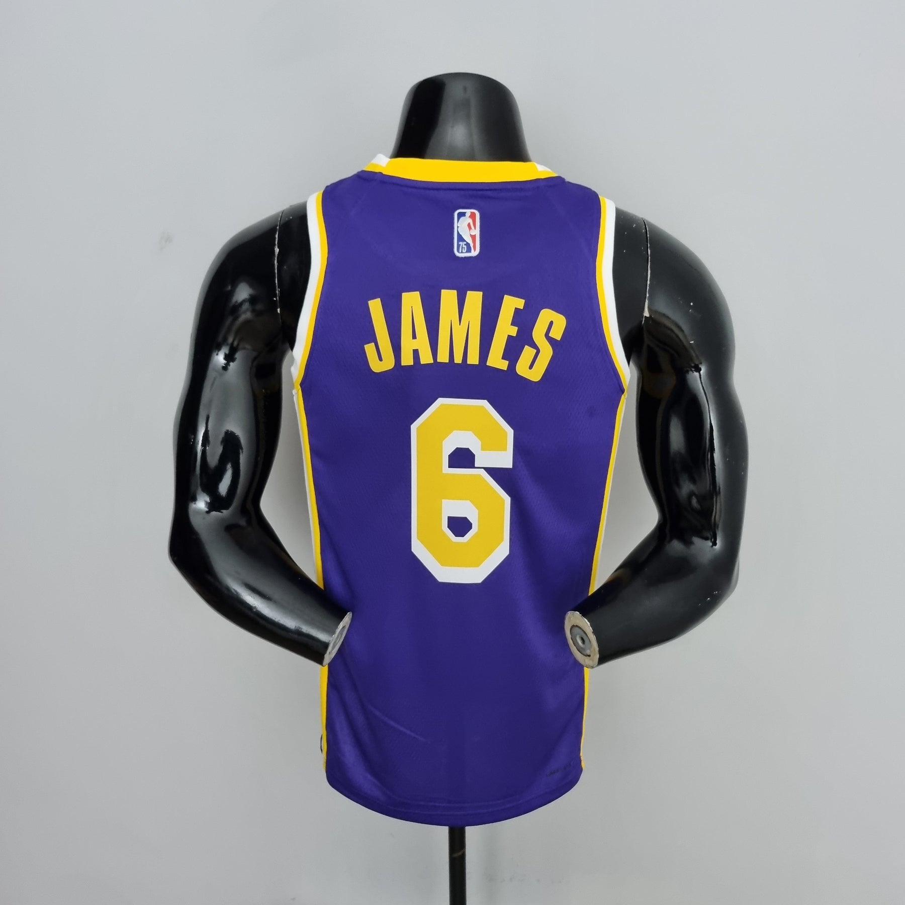 Camisa NBA Lakers #6 Jordan Purple 75° Aniversário - 23/24