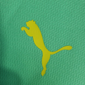 Camisa Palmeiras 23/24 - Puma Torcedor Masculina