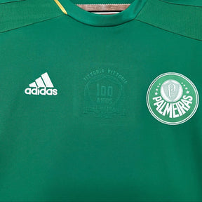 Camisa Retrô Palmeiras 100 anos 2014/15