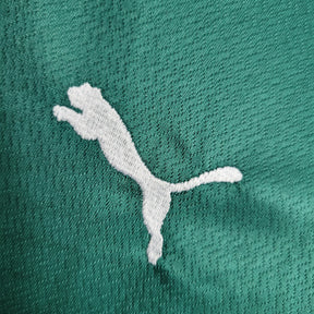 Kit Infantil Palmeiras Titular 22/23