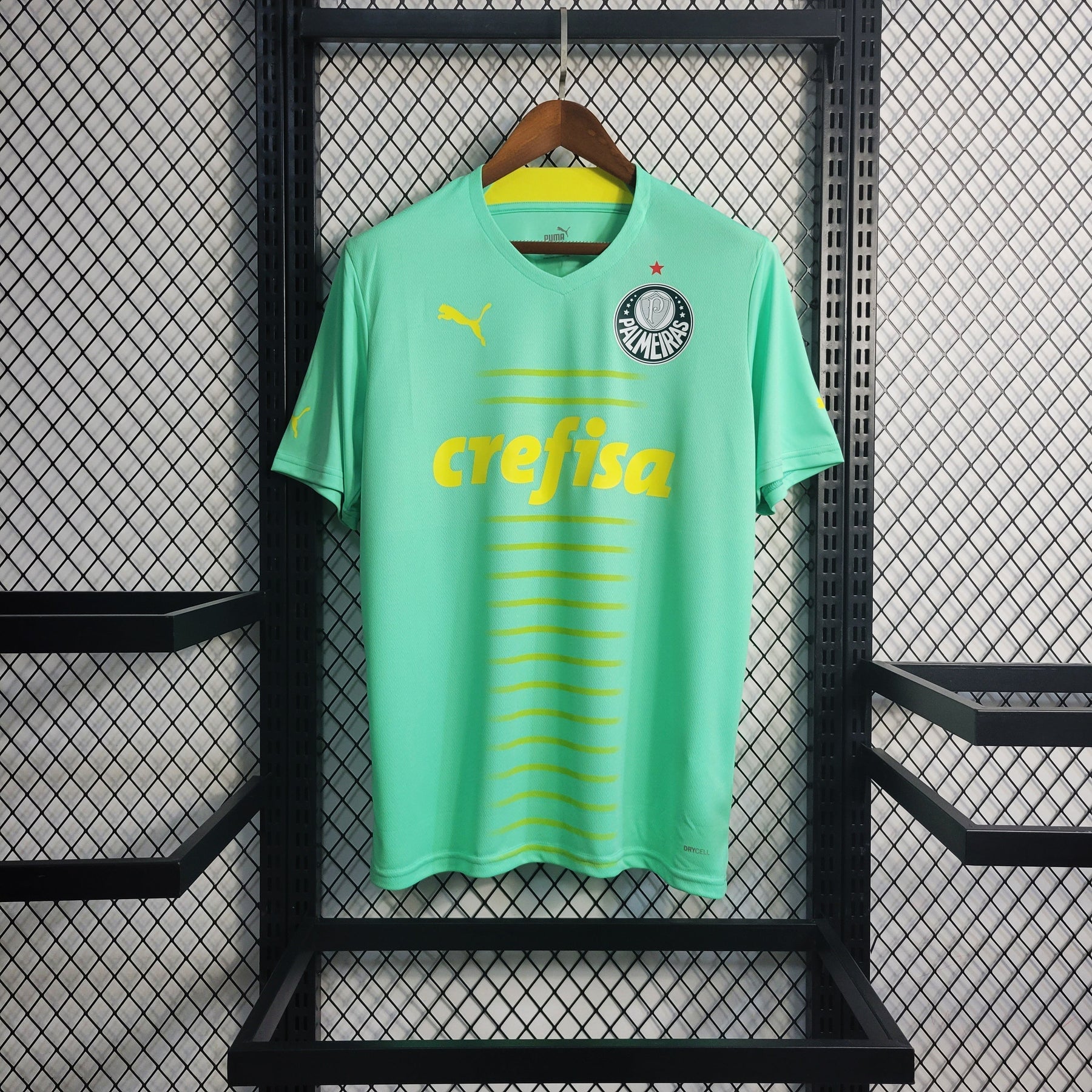 Camisa Palmeiras 23/24 - Puma Torcedor Masculina