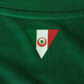 Camisa Puma Palmeiras 2026/27 Jogador