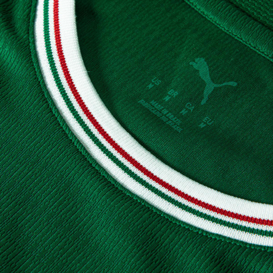 Camisa Puma Palmeiras 2026/27 Jogador