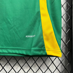 Camisa Jamaica Treino 24/25 - Versão Torcedor