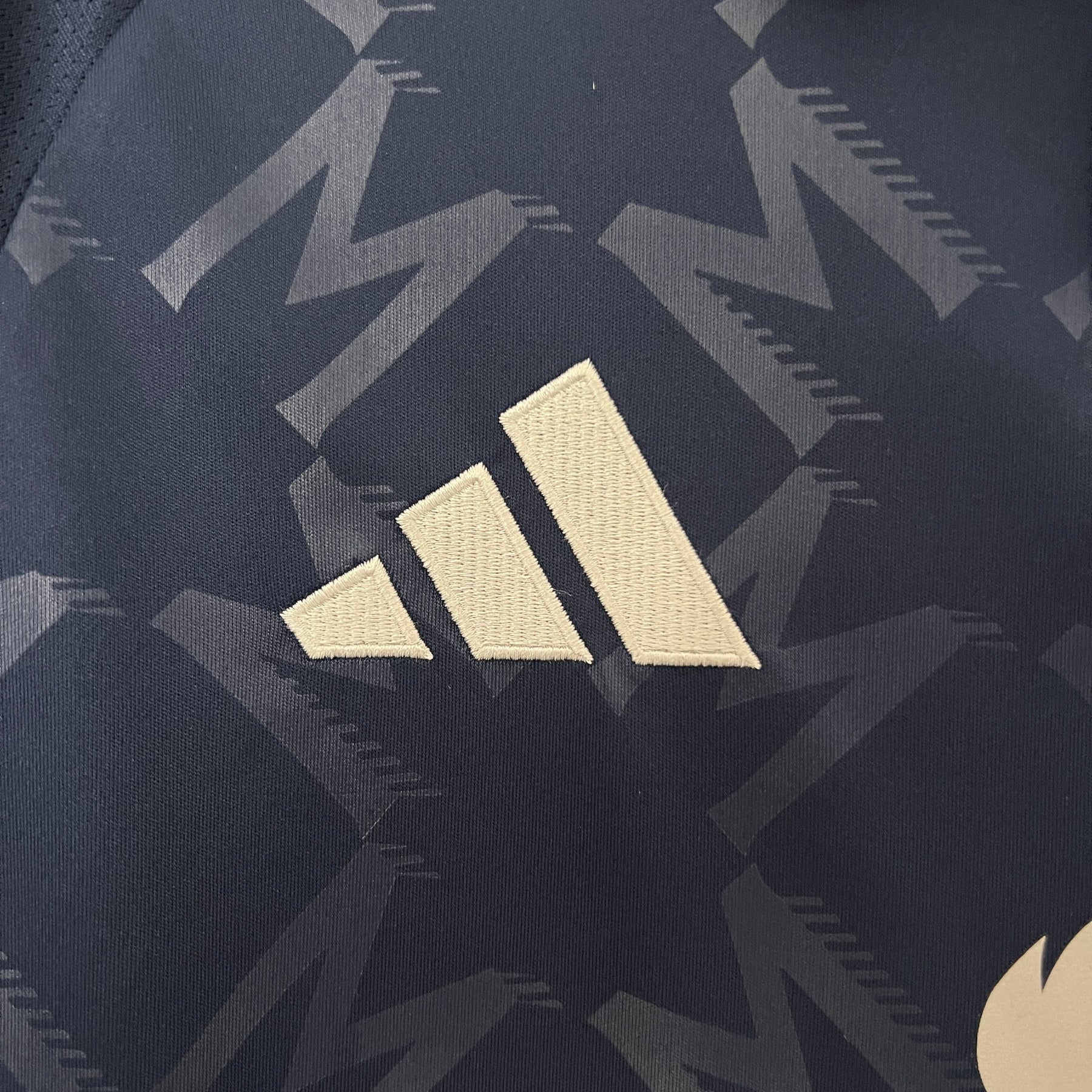 Camisa Manchester United Third 24/25 - Adidas Torcedor Masculina