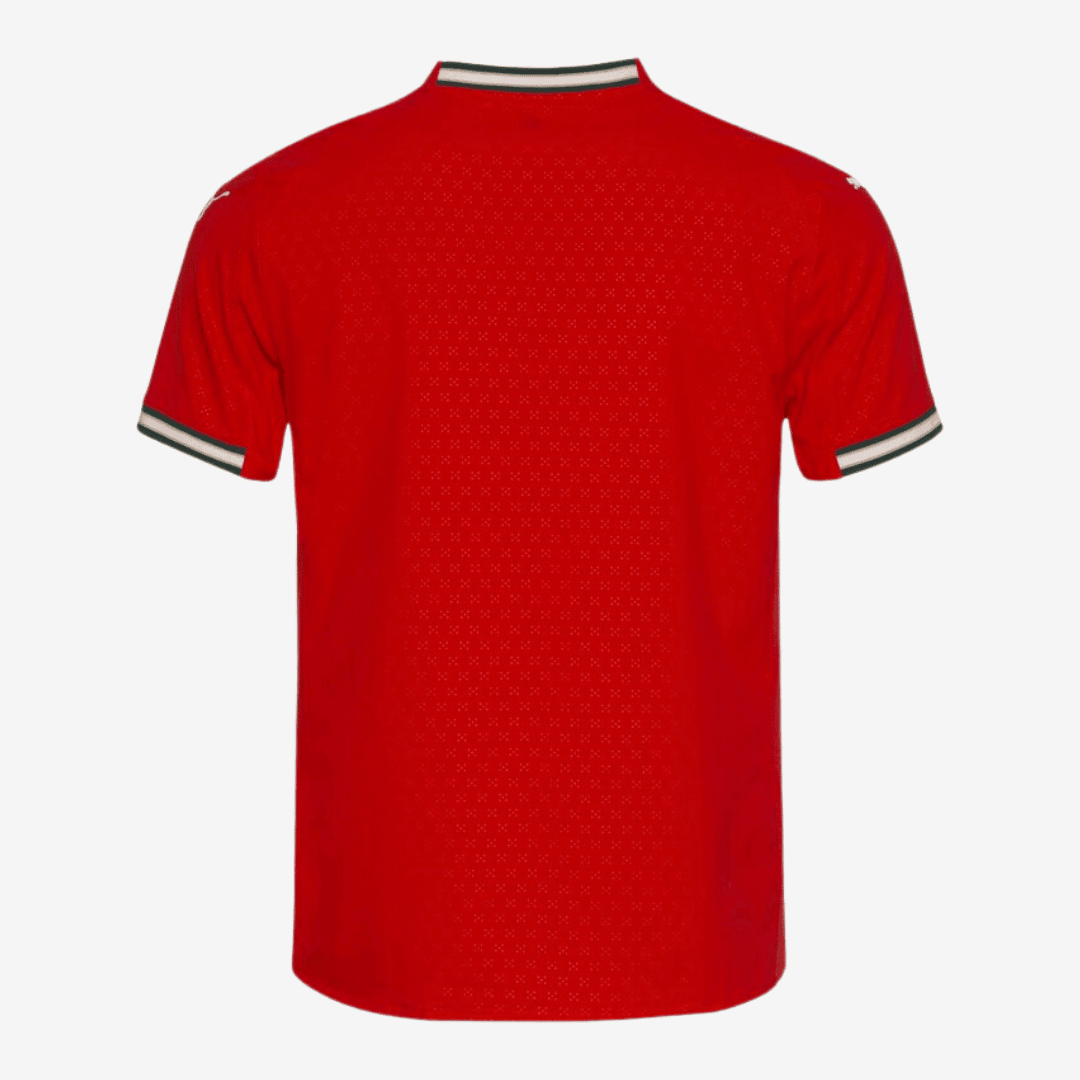 Camisa Puma Portugal 2025 I