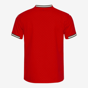 Camisa Puma Portugal 2025 I