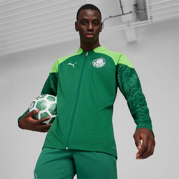 Jaqueta Palmeiras Treino